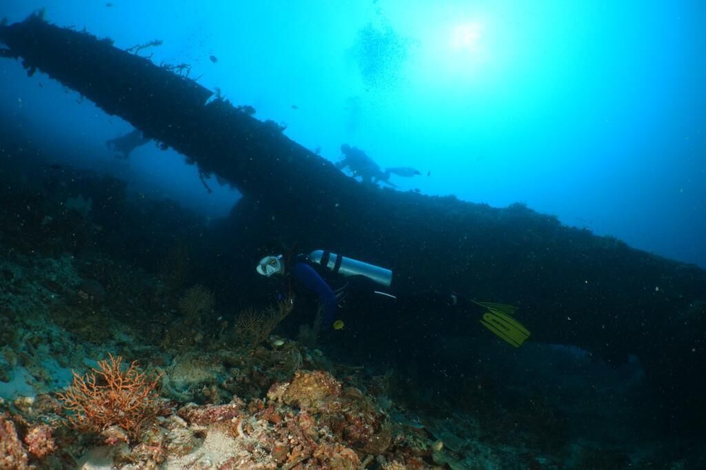 Un plongeur explore une épave sous-marine, où l’on peut observer des formations coralliennes et une faune marine abondante.