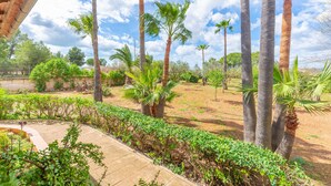 Ein Garten mit Palmen und einem gepflasterten Weg.