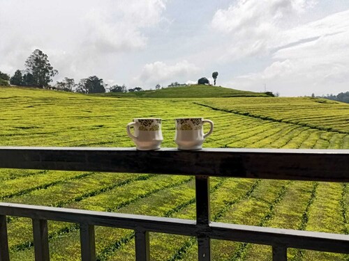 Spacious and serene space with Tea Estate view from every room.
