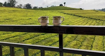Spacious and serene space with Tea Estate view from every room.