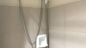 Shower, towels, toilet paper