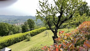 A lush garden with a well-maintained lawn, a variety of shrubs, and a tree. - Bellavista by Interhome (Acqui Terme)