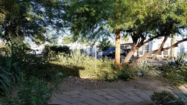 A paved garden area with various plants and trees, a pathway, and a building in the background. - River House (Parker)
