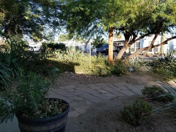 Property grounds - River House (Parker)