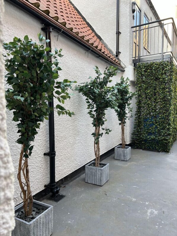 المنطقة المحيطة بالمنشأة