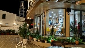 An outdoor seating area with potted plants, a metal railing, and a view of the interior of a building with a Christmas tree.