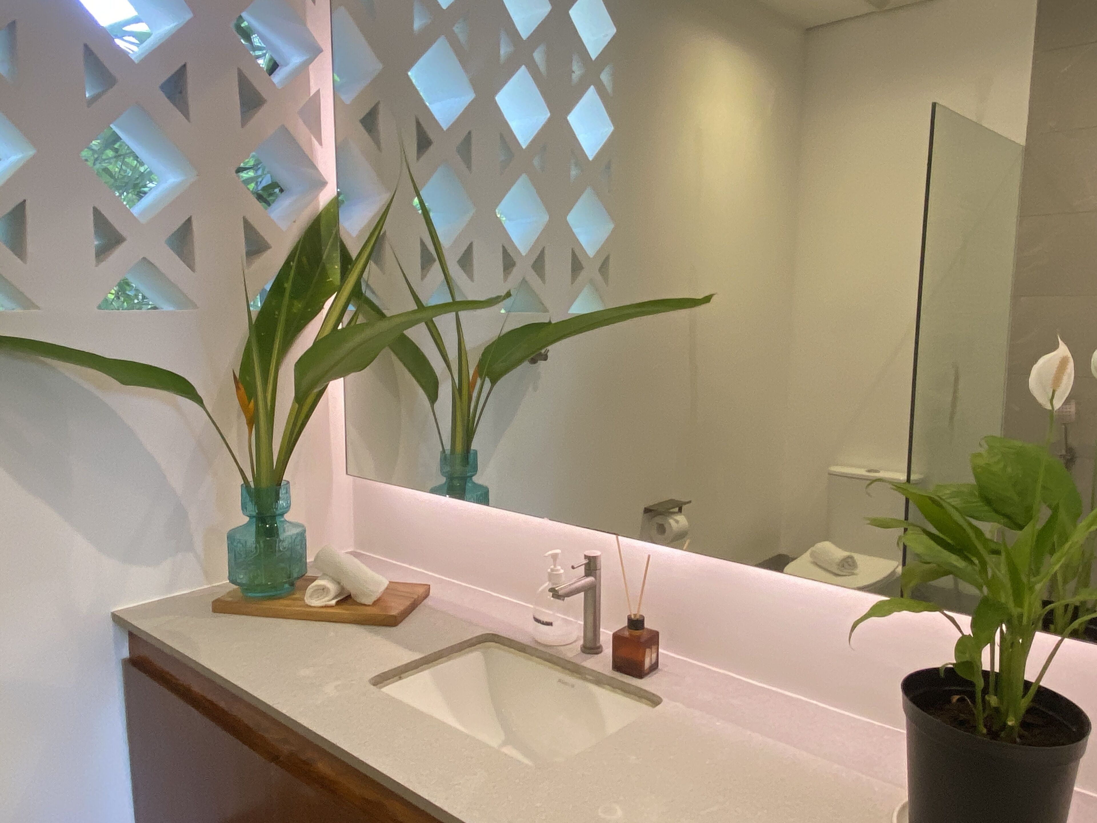 A bathroom with a white sink, a mirror, and two potted plants.