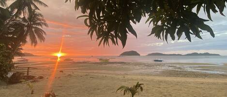 Una playa con palmeras, un atardecer y barcos a lo lejos.