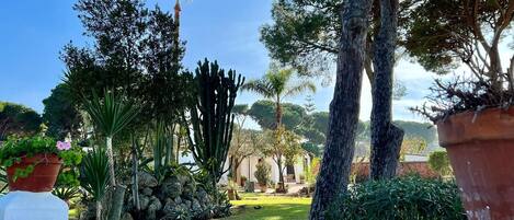 Overnattingsstedets uteområder