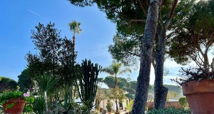 Los Porches, with private pool