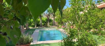 Holiday cottage 60 km from Barcelona, Tranquility and Enotourism.