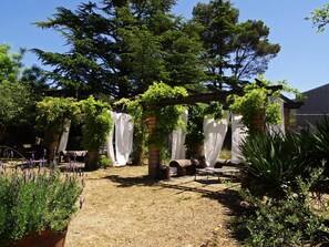 Property grounds - Holiday cottage 60 km from Barcelona, Tranquility and Enotourism. (Sant Joan de Mediona)