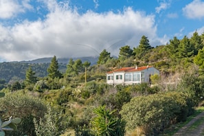 Property grounds - VILLA LA COLLINA - TRILOCALE LA COLLINA (Campo nell'Elba)