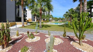 Une cour intérieure agrémentée de palmiers, d’une piscine et de cactus.
