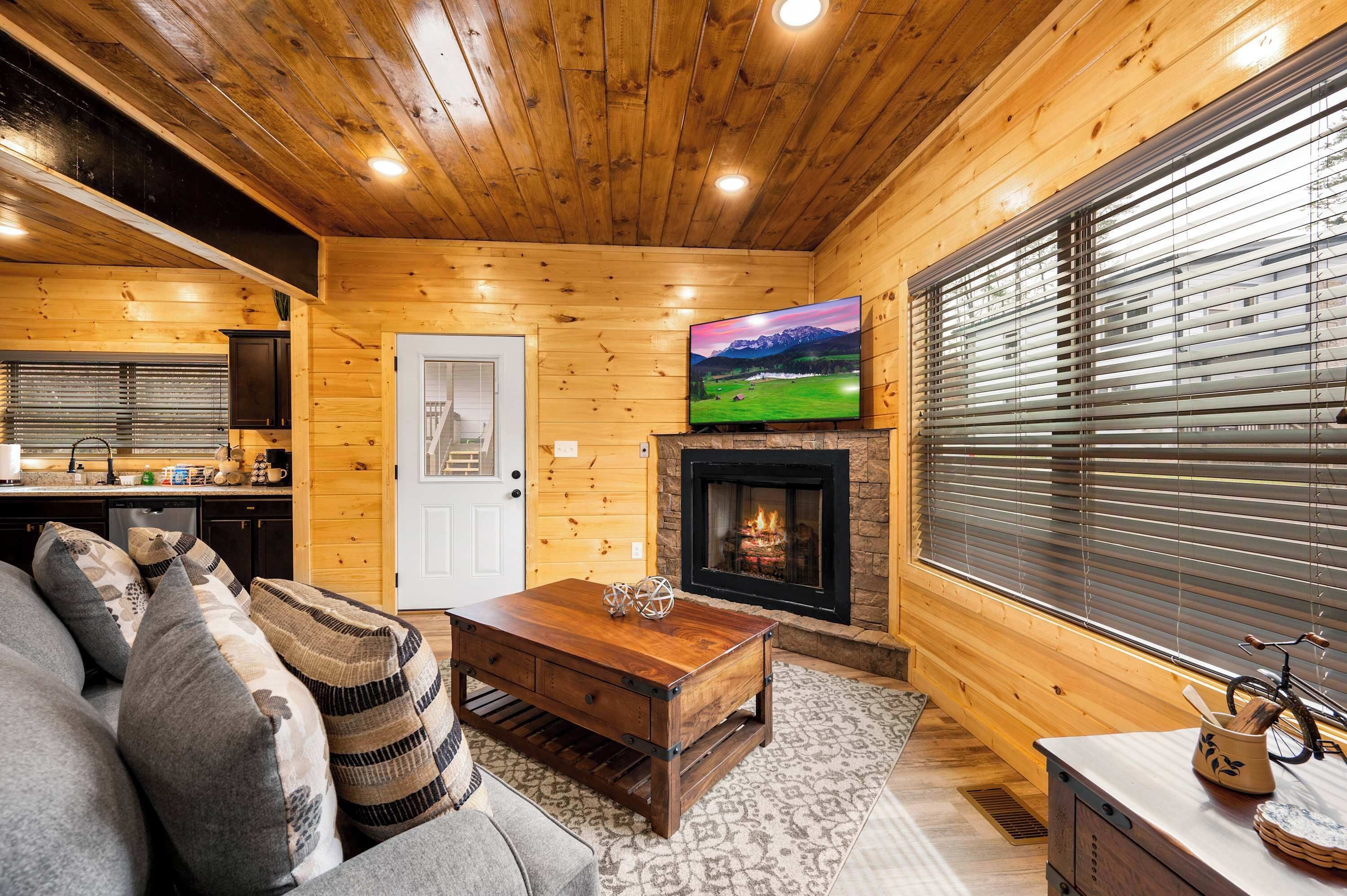 TV, fireplace, video games, table football