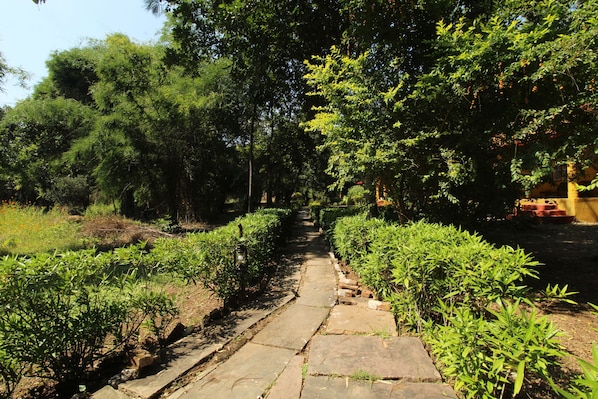 Jardim