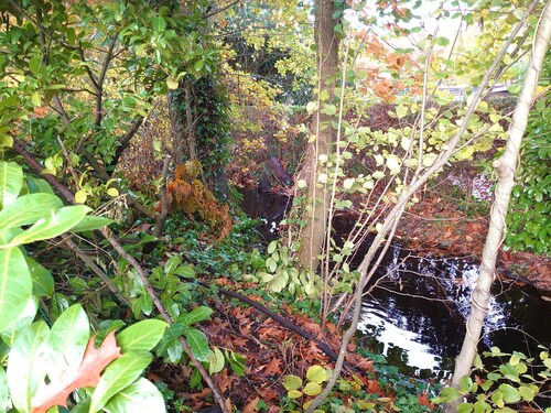 Vrijstaande Bungalow met Optimale Privacy!