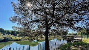 Une rivière bordée d’arbres, avec une clôture en bois et un pont en arrière-plan.