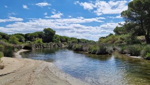 Une rivière dont les berges sont sablonneuses et qui est bordée d’une végétation luxuriante de chaque côté.