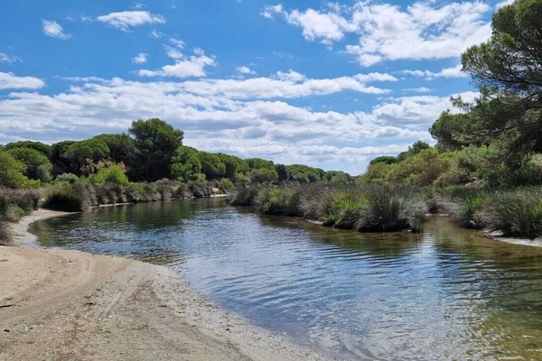 Ubicación cercana a la playa