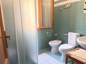 Shower, hair dryer, bidet, towels