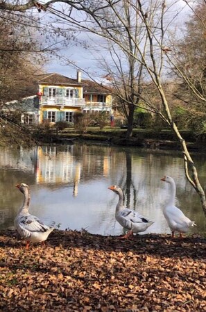 Áreas de la propiedad