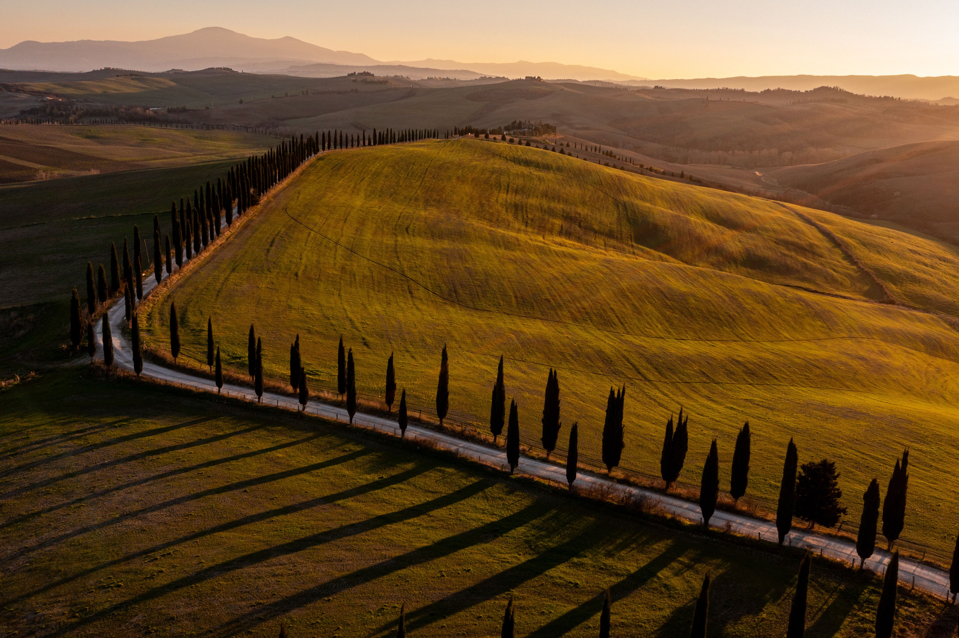 A rural landscape with rolling hills, a road, and a row of tall trees.