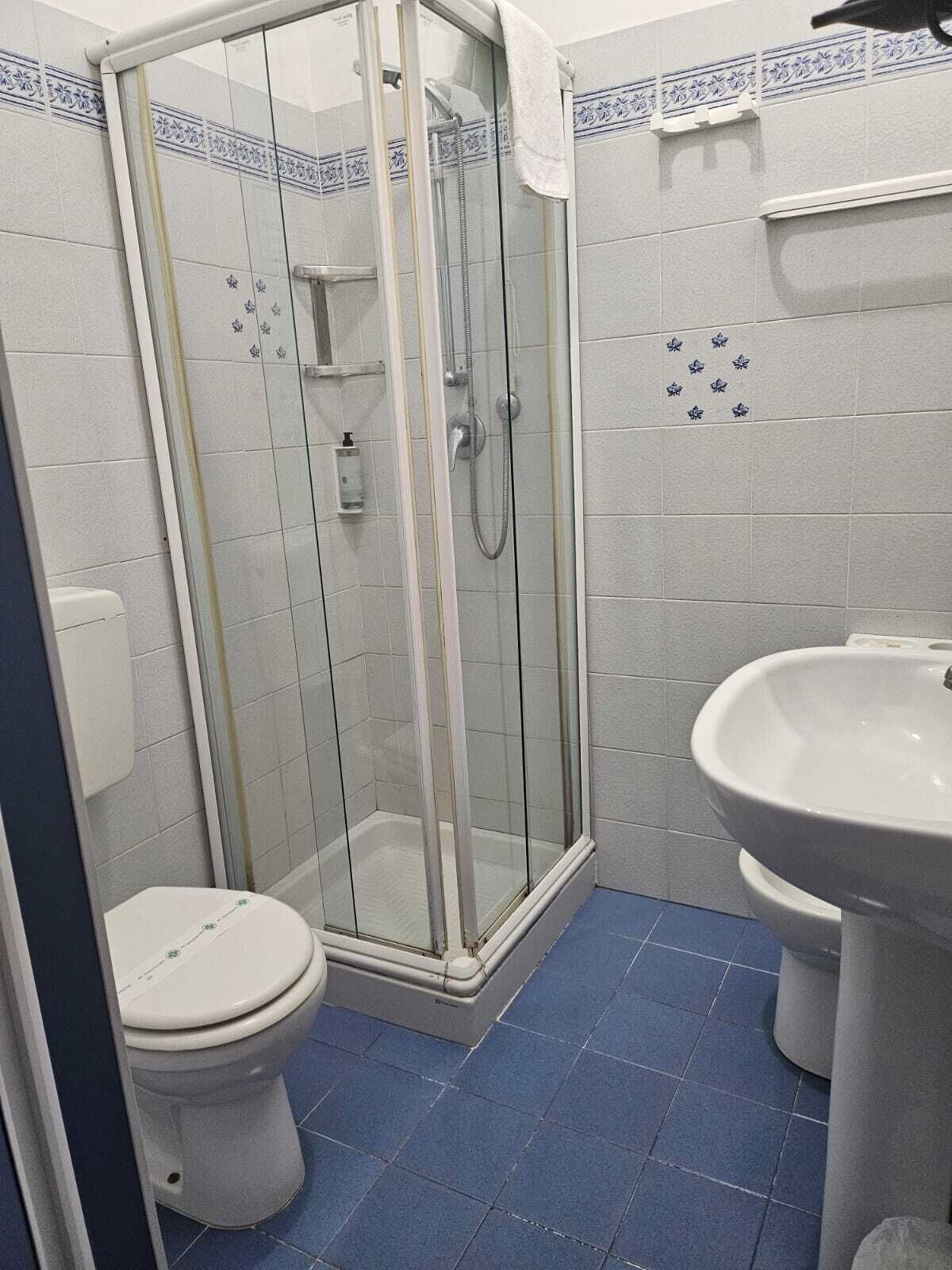 A bathroom with a glass-enclosed shower, a toilet, and a sink.