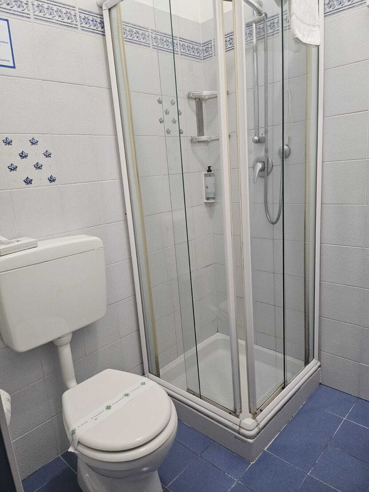 Une salle de bain comprenant des toilettes, une douche fermée par une paroi de verre et un sol carrelé de carreaux bleus.