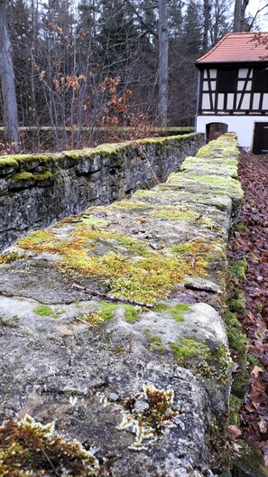 Paredes de pedra com musgo, estrutura de madeira com telhado de telhas e um cenário de floresta ao fundo.