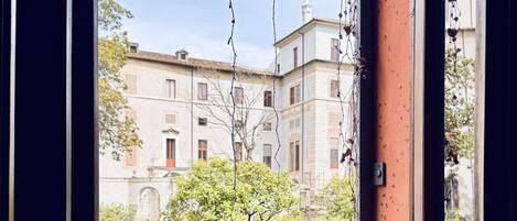 A view through a window with a view of a building and a tree.
