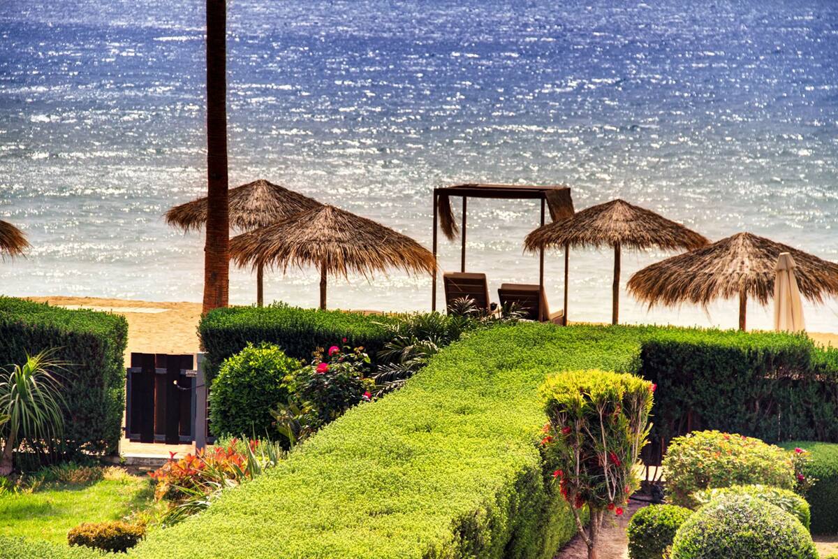 A beachside garden with thatched umbrellas, a pool area, and a view of the ocean.