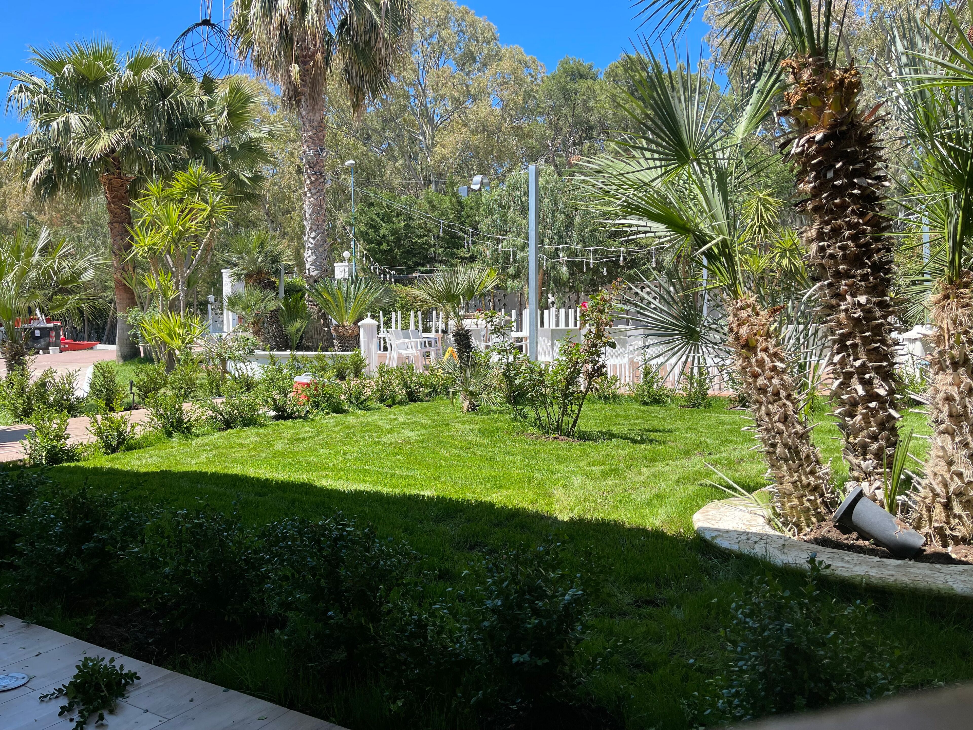 A well-maintained garden with various plants and a lawn.