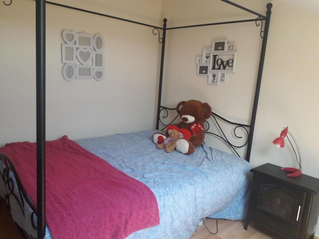 Photo - Global Guest