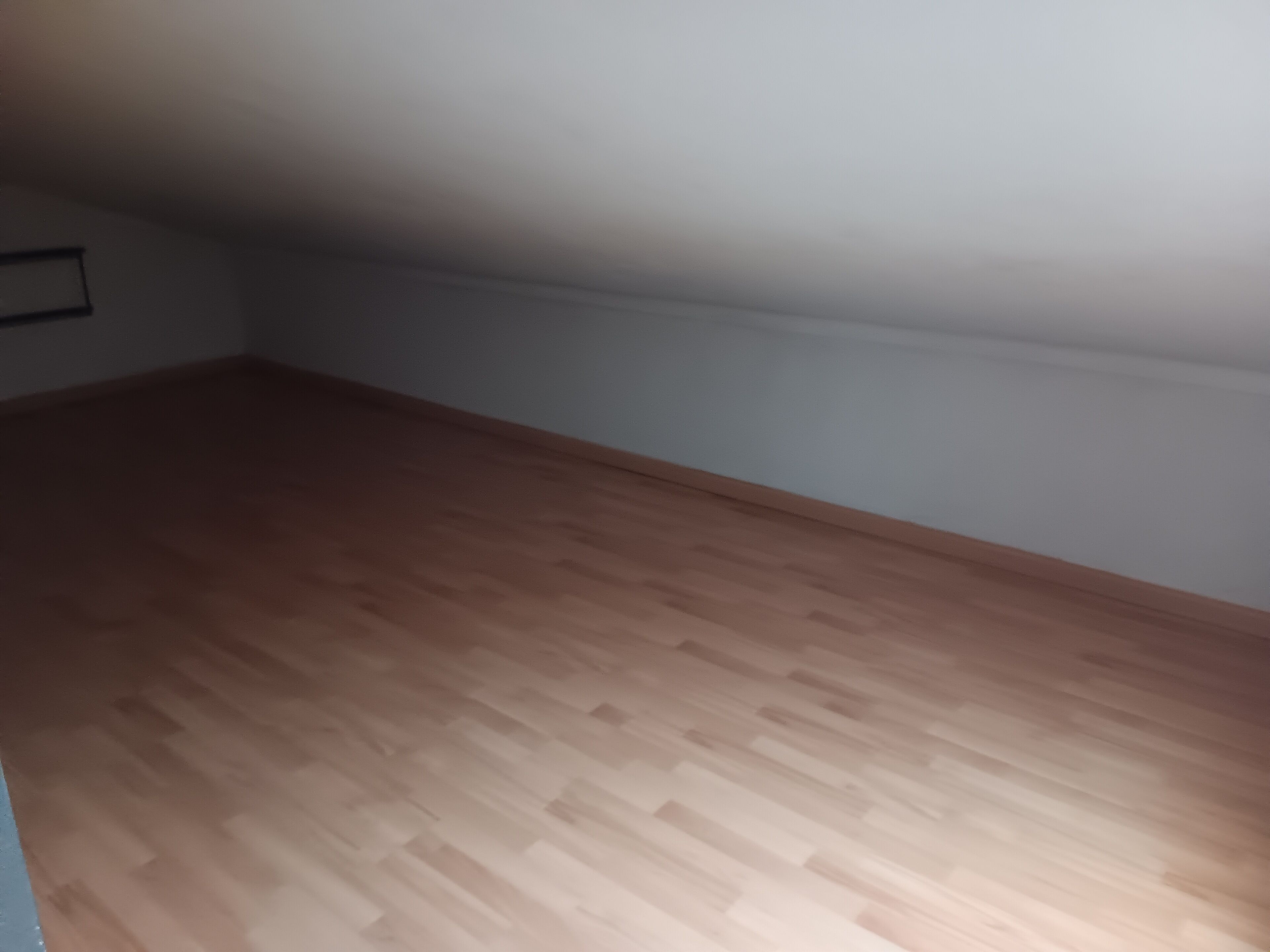 Photo - Global Guest