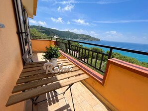 Basic Apartment | Terrace/patio