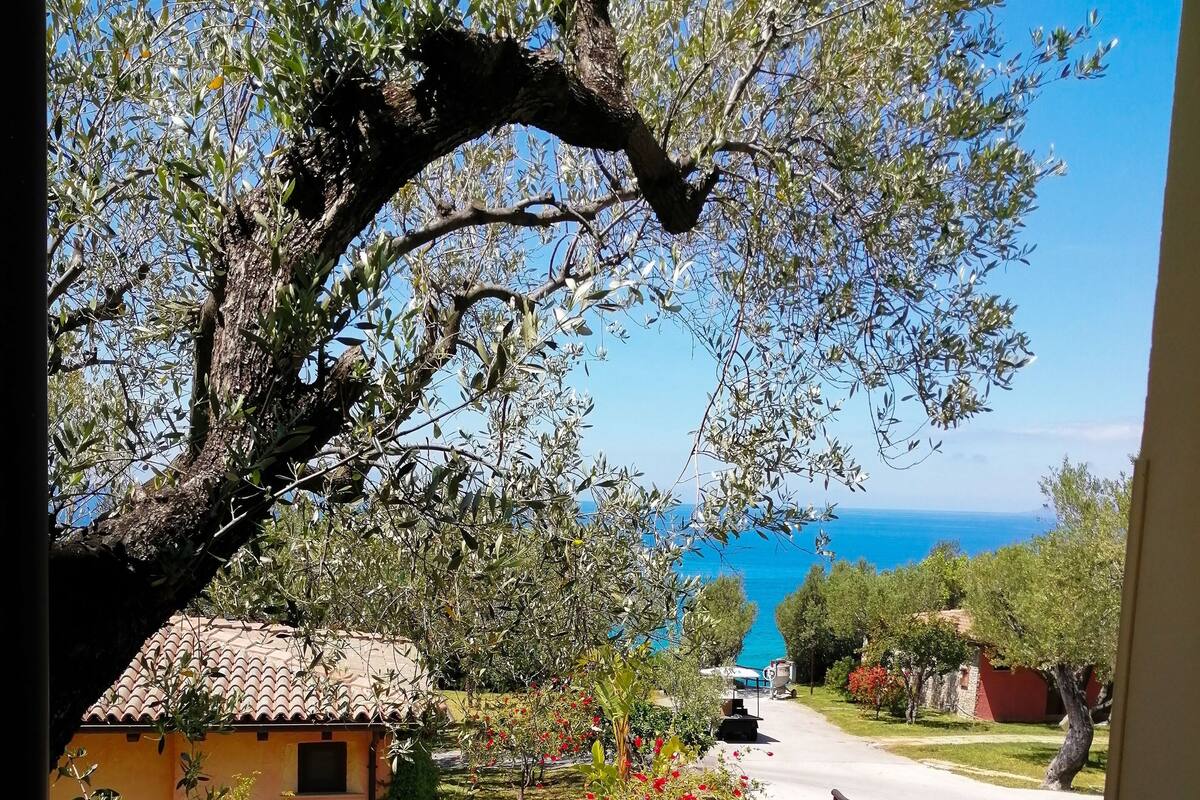 A balcony with a view of a coastal landscape, including a building with a tiled roof and a tree with green leaves.