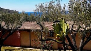A courtyard with a tiled roof, a banana plant, and a view of the sea.