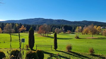 Un campo cubierto de césped en buen estado, con una valla de madera, un cartel y algunos árboles.