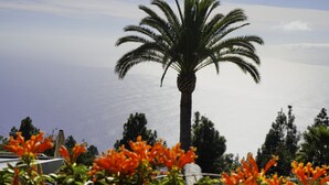 A palm tree in a garden with a view of the sea. - SOL UNA Joya (CN)