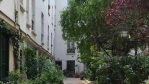 A narrow courtyard with stone flooring, potted plants, and outdoor seating. - Nest Bailly. Superbe Studio Pigalle/montmartre (Paris)