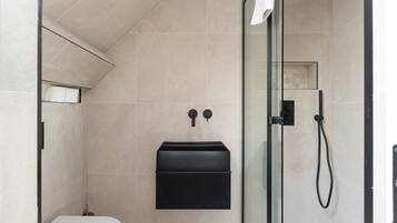 Shower, hair dryer