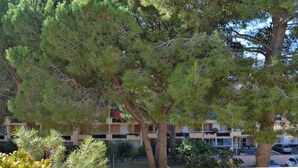 Property grounds - Beachside 2-Room Apartment with Cabin, Loggia, Parking - Sleeps 4, 300m from La Favière Beach (Bormes-les-Mimosas)
