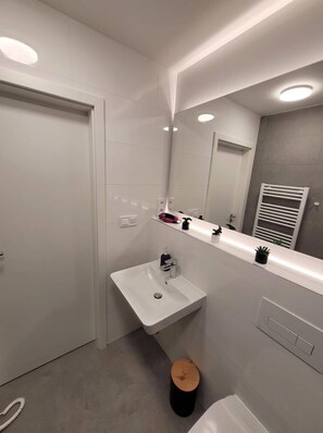 A modern bathroom with a white sink, mirror, and towel rack. - Garden Apartment Brno center 409
 (Jihomoravský kraj)