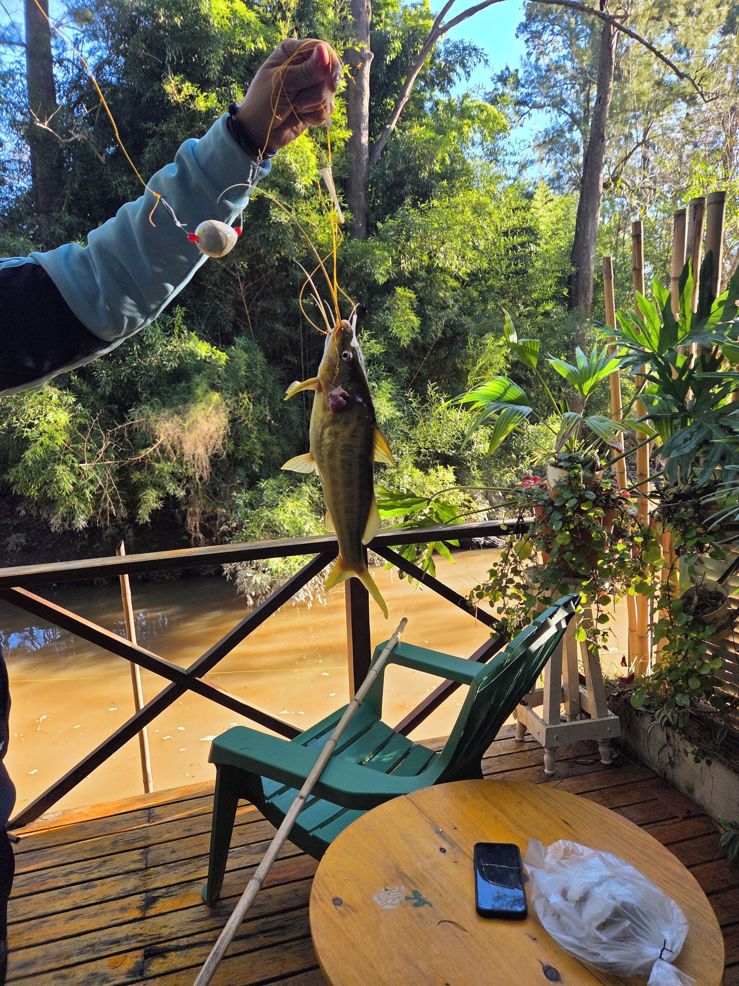 A person holding a fish with a hook, a wooden deck, a green chair, a table, and a river in the background.