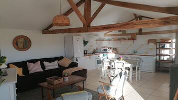 Télévision, cheminée, table de tennis de table, livres