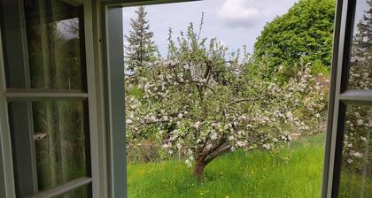 Ferienwohnung Bloßstock- Im Herzen der Sächsischen Schweiz- max. 5 Personen