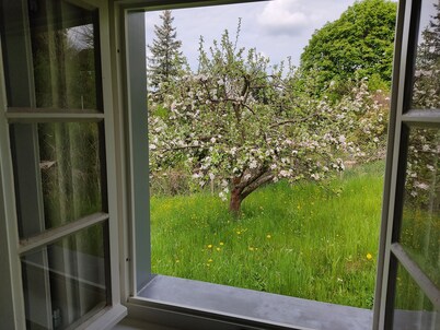 Im Herzen der Sächsischen Schweiz- Fewo Bloßstock für Max. 5 Personen