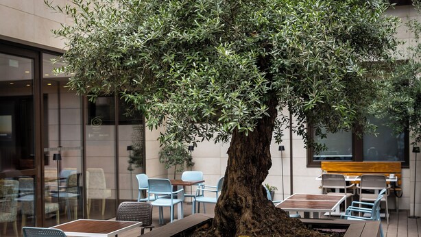 An outdoor seating area with tables and chairs, a tree, and string lights. - Nobel Palace Hotel (Belgrade)