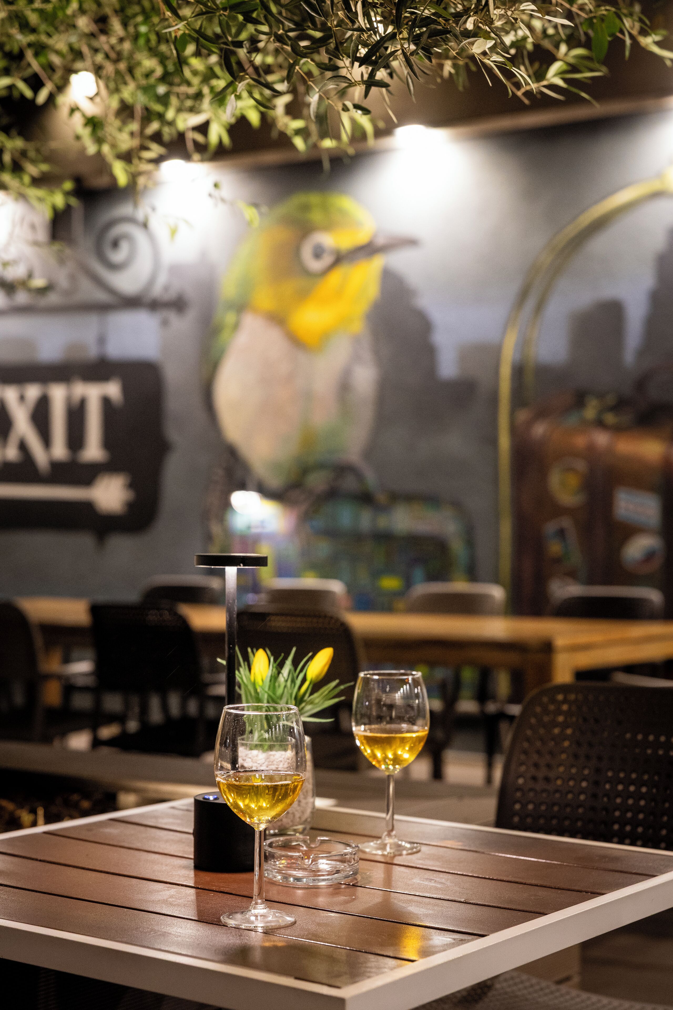 Foto - Nobel Palace Hotel